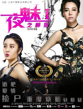 黃渤主演的電視劇