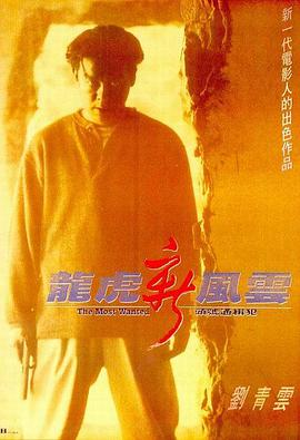 龍虎新風云