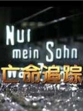 亡命追蹤(國語版)