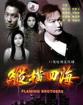 精品久久久久久中文字幕