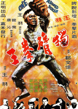 獨臂拳王