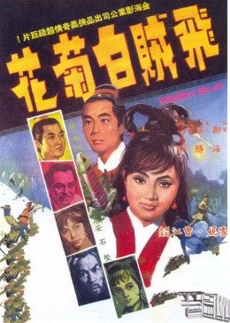 飛賊白菊花