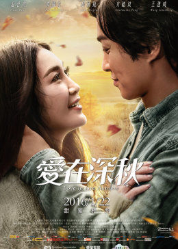 胸大的姑娘電影版完整版