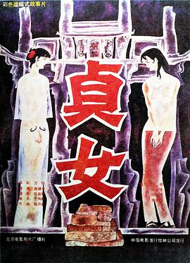 五號特工組第一部免費