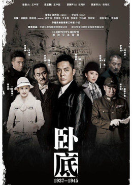 臥底[DVD版]