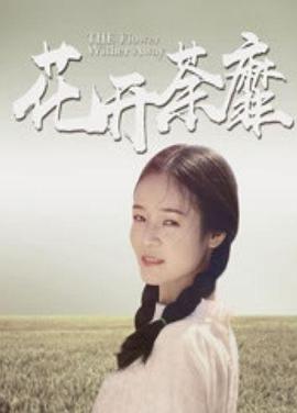 淑女的欲望電影