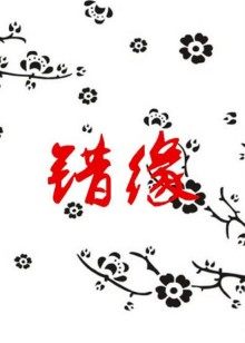 電視劇第二次人生共多少集